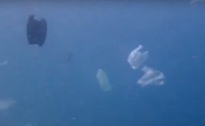 Menjadi Negara Maritim, Laut Indonesia Dipenuhi Sampah 
